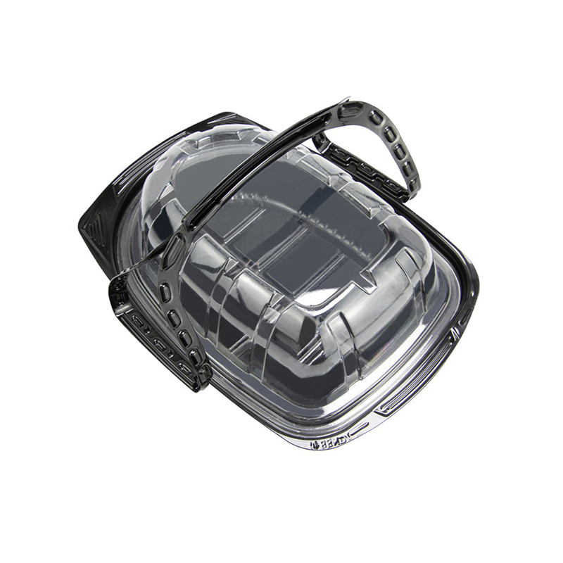 Portable Plastic Packaging for Roast Turkey