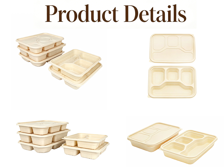 Biodegradable Cornstarch Bento Box