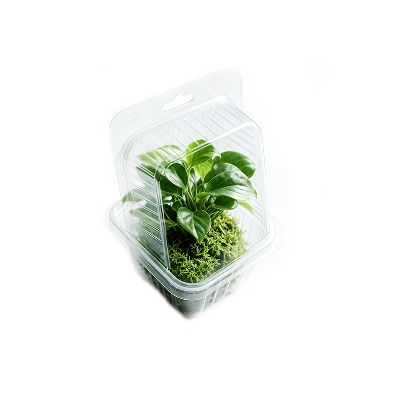 Plant Blister Packaging with Hanging Hole