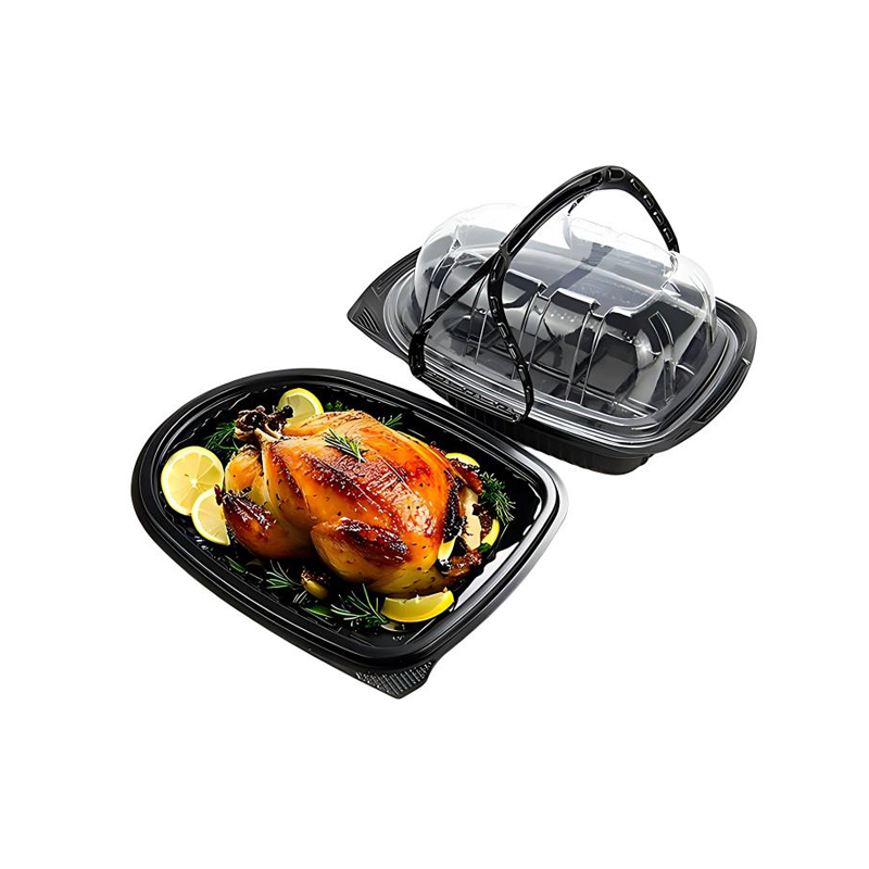 Portable Plastic Packaging for Roast Turkey