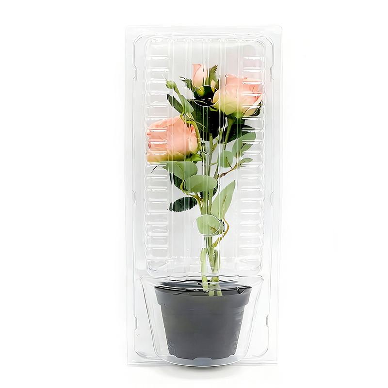 Plant Flower Seedlings Blister Packaging Box