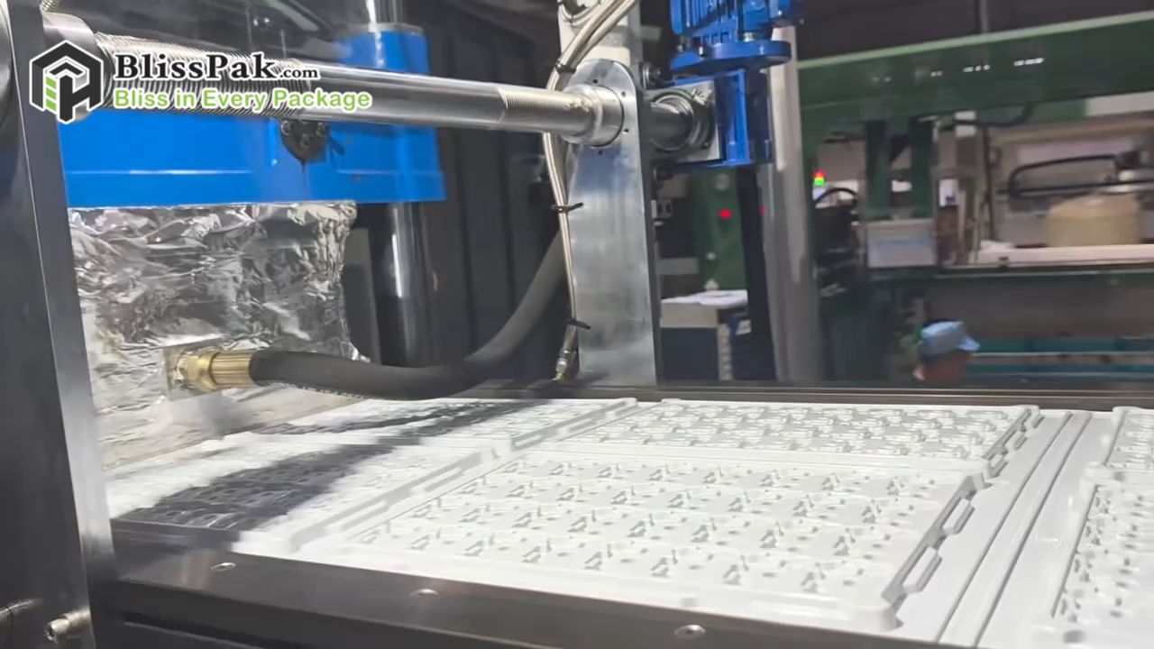 How We Scale Your Packaging Globally