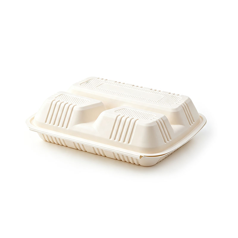 3 Compartment Railway Bento Box