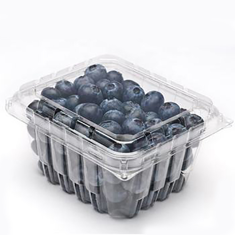 Blueberry Plastic Clamshell Packing Box