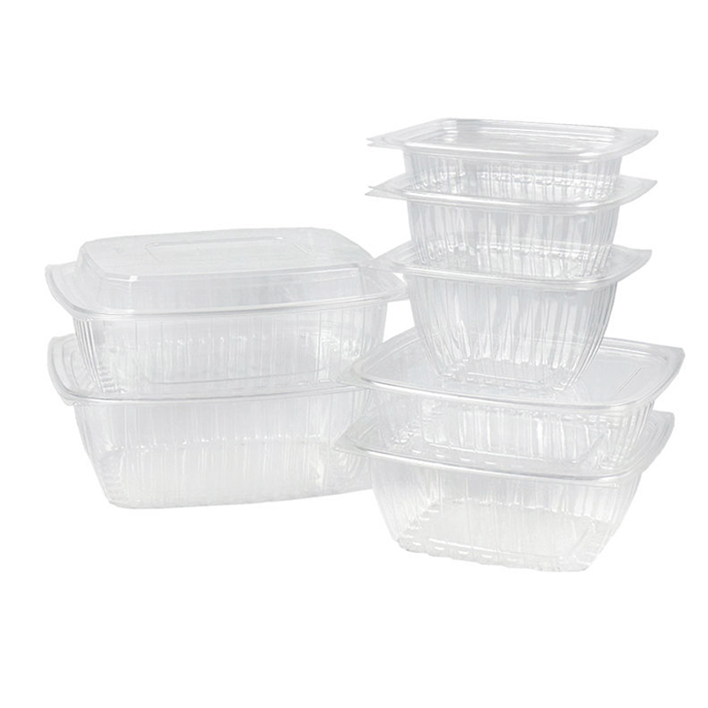Disposable Food plastic Packaging Box