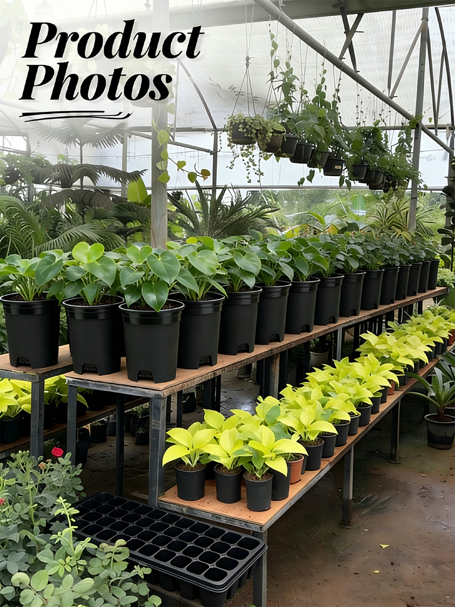 Greenhouse Pots Wholesale Supplier