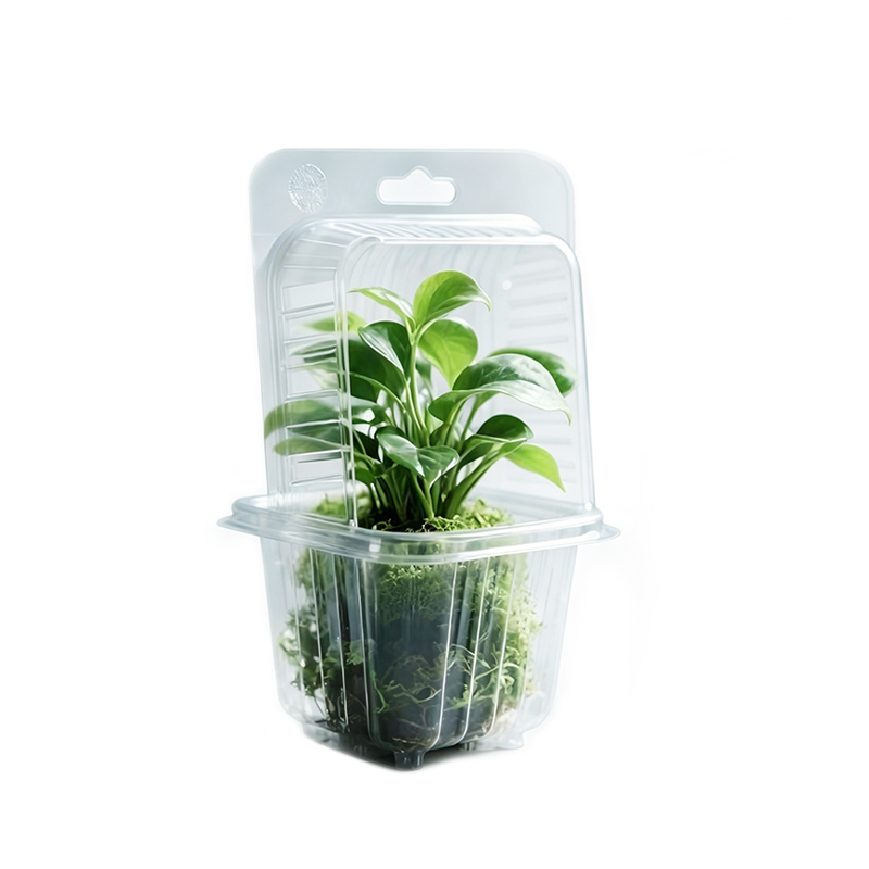 Plant Blister Packaging with Hanging Hole