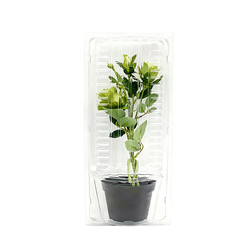 Custom Clamshell for Potted Plants