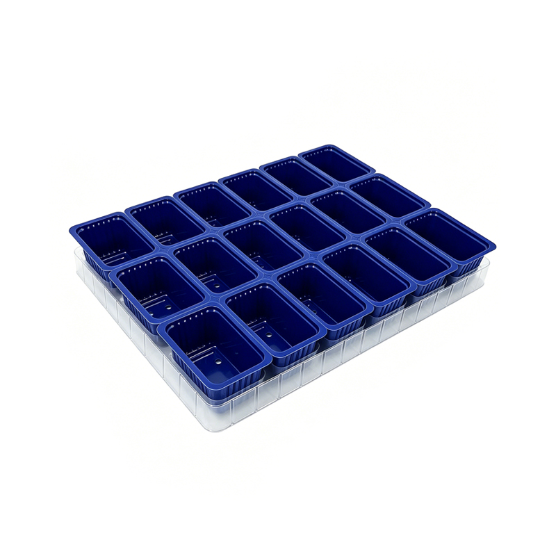 Custom Nursery Plant Seeding Tray Supplier