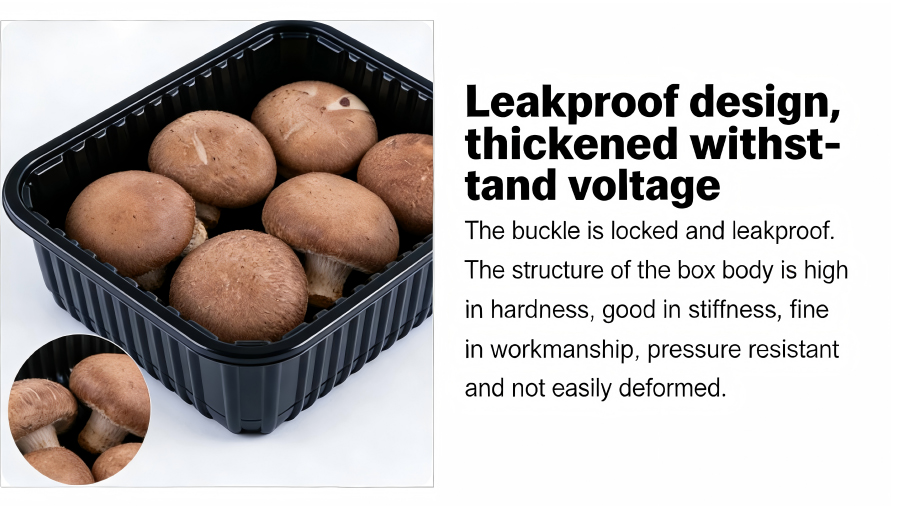 Mushroom Packaging Lunch Box