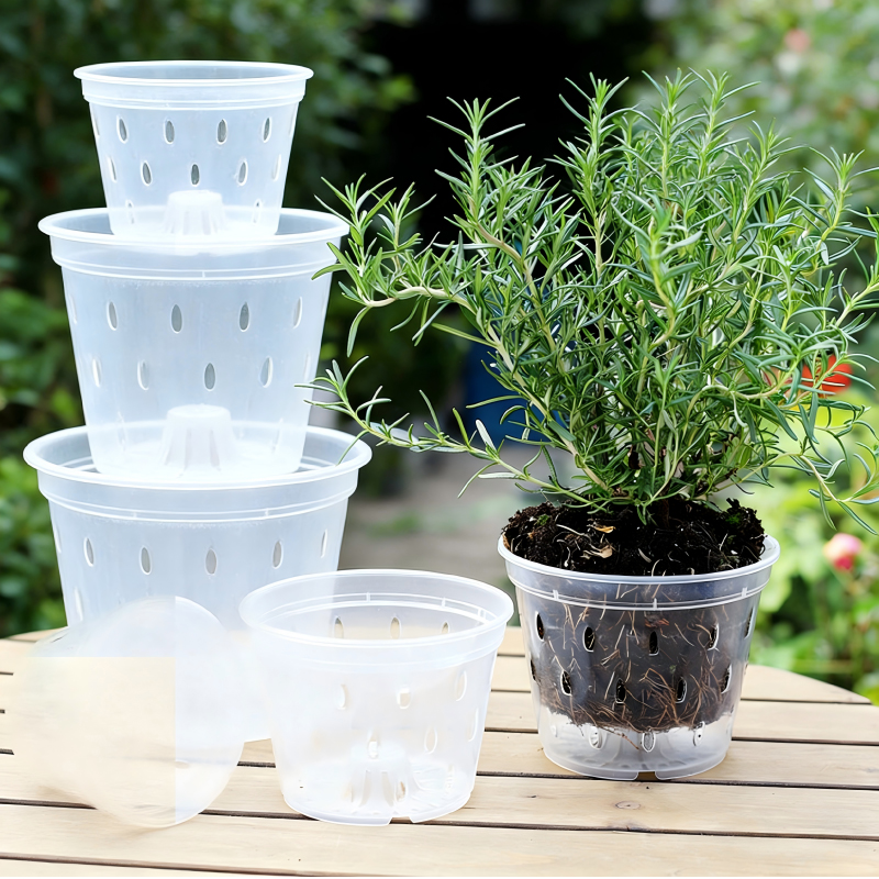 Wholesale Transparent Flower Pot