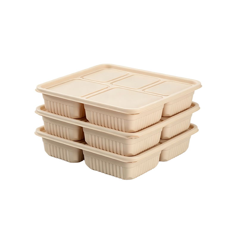 PP Plastic Bento Lunch Boxes Manufacturer