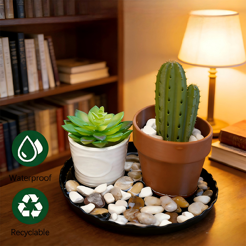 Black Plastic Plant Saucers