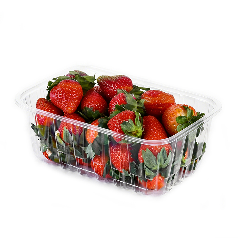 Wholesale Disposable Strawberry Clamshell