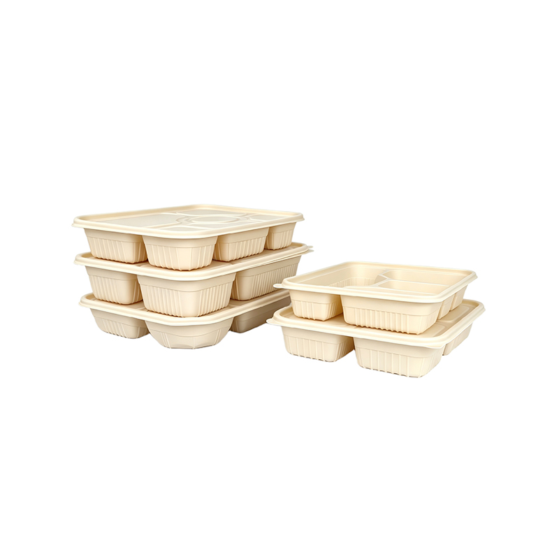 Cornstarch Bento Box with 4 Divisions