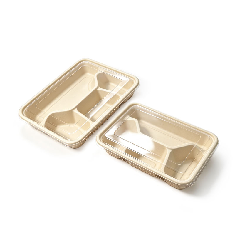 Compostable Bagasse Food Tray