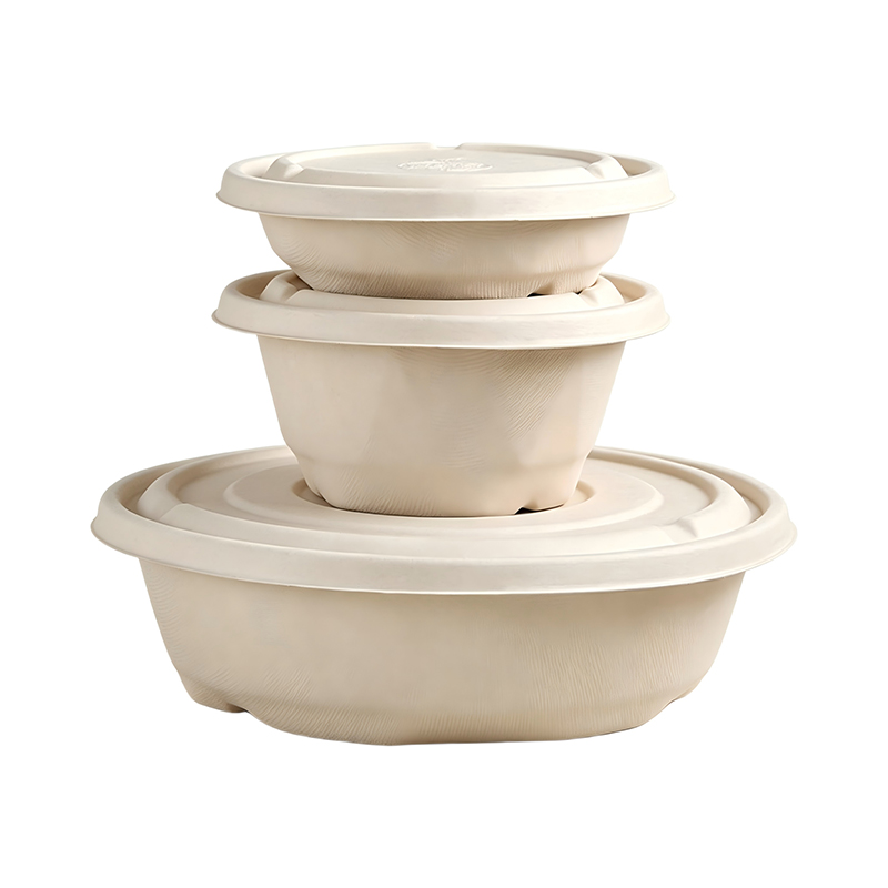 Wholesale Bagasse Salad Bowl