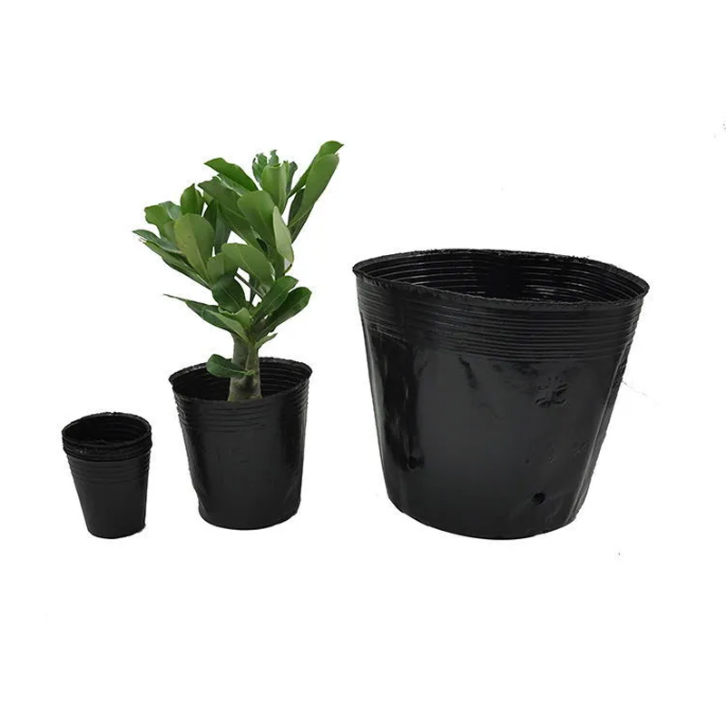 Custom Plastic Plant Pot with Blister Tray