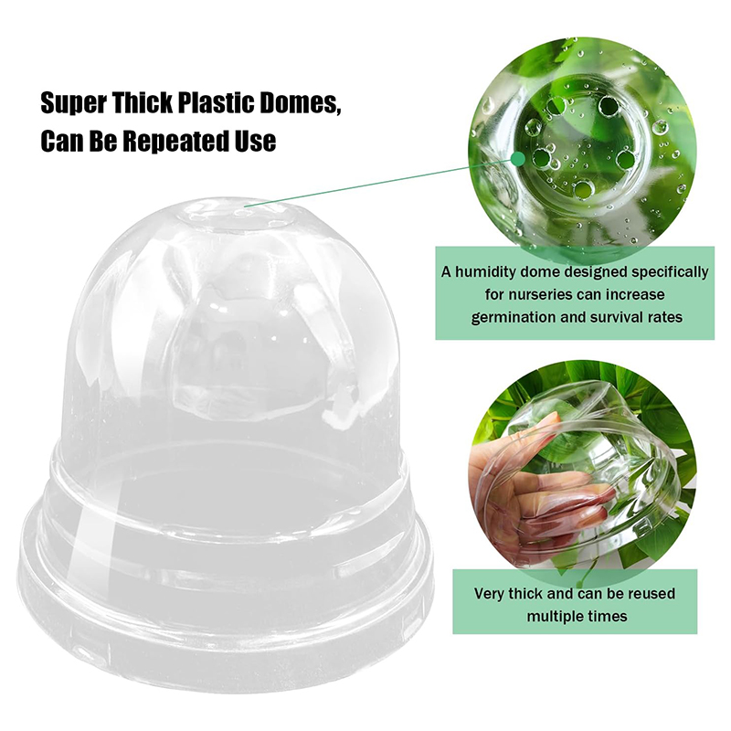 Wholesale Transparent Plastic Seedling Planter