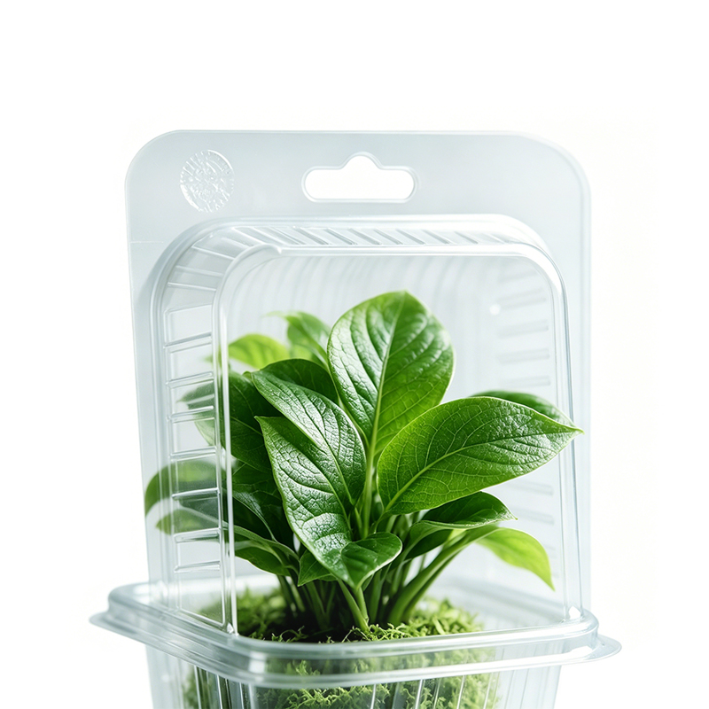 Plant Blister Packaging with Hanging Hole