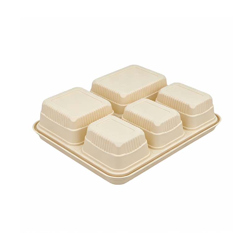 PP Plastic Bento Lunch Boxes Manufacturer