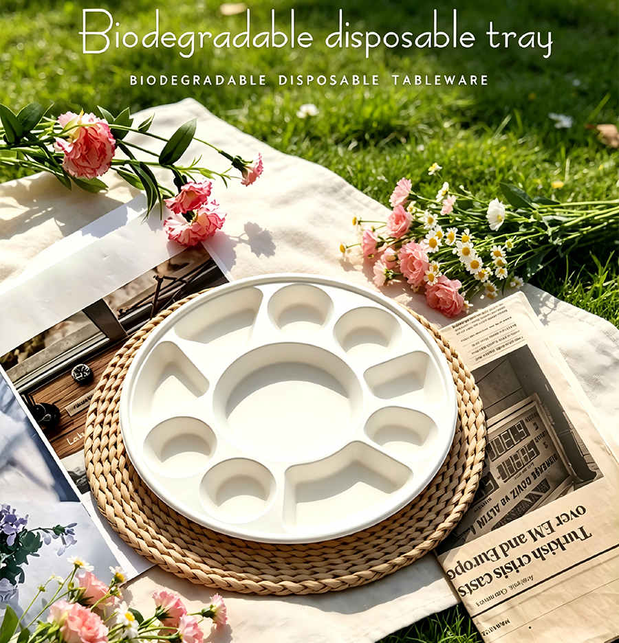 Biodegradable Multi-Compartment Round Tray