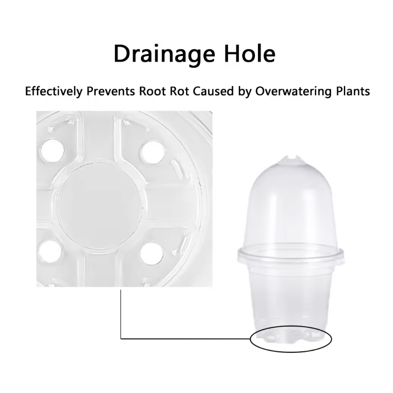 Wholesale Transparent Plastic Seedling Planter