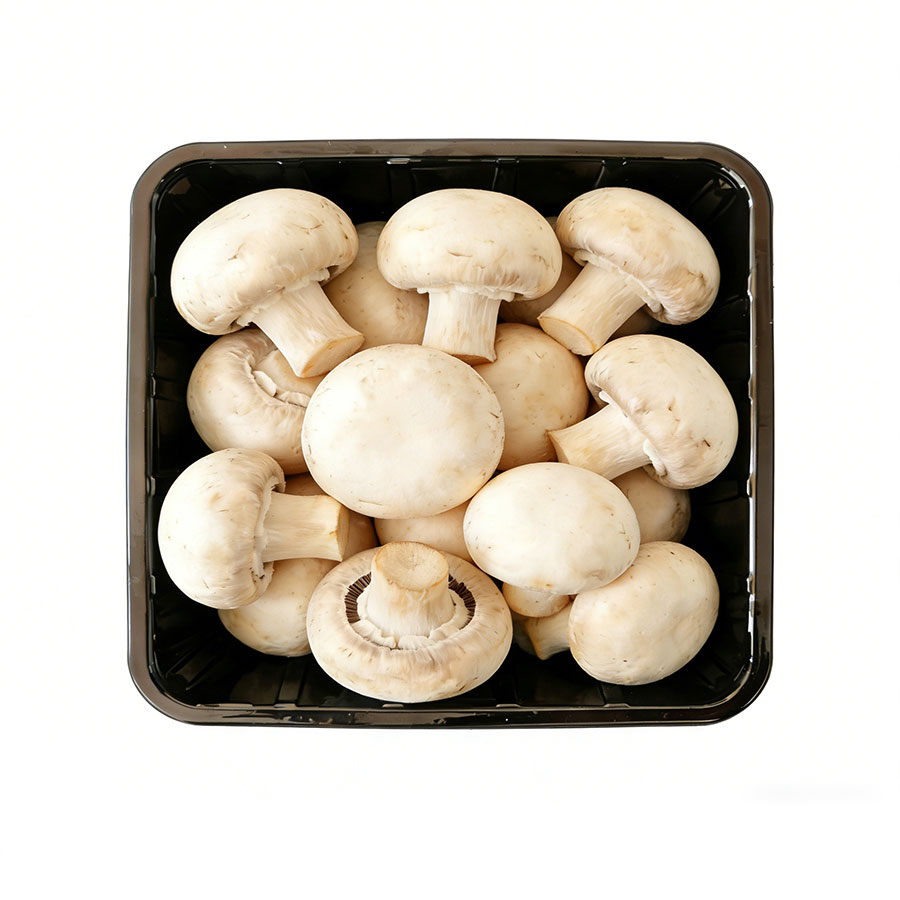Mushroom Blister Packaging Tray