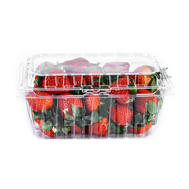 Wholesale Disposable Strawberry Clamshell