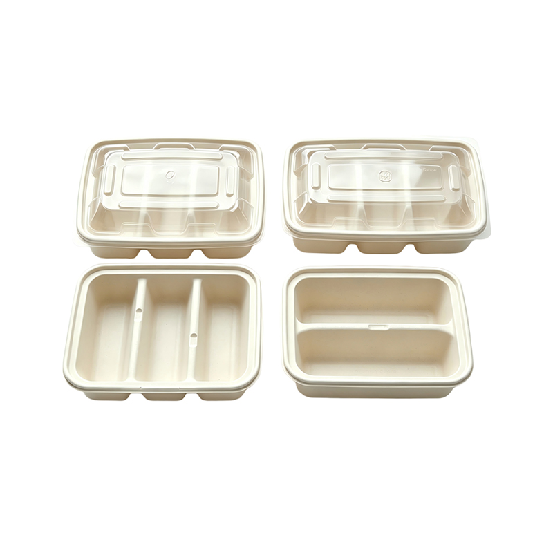 Eco-friendly 5 Compartment Taco Container