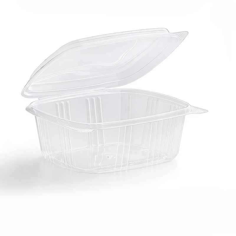 Disposable Food plastic Packaging Box