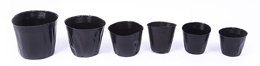 Custom Plastic Plant Pot with Blister Tray
