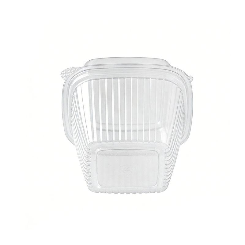 Single Cupcake Container with Square Dome
