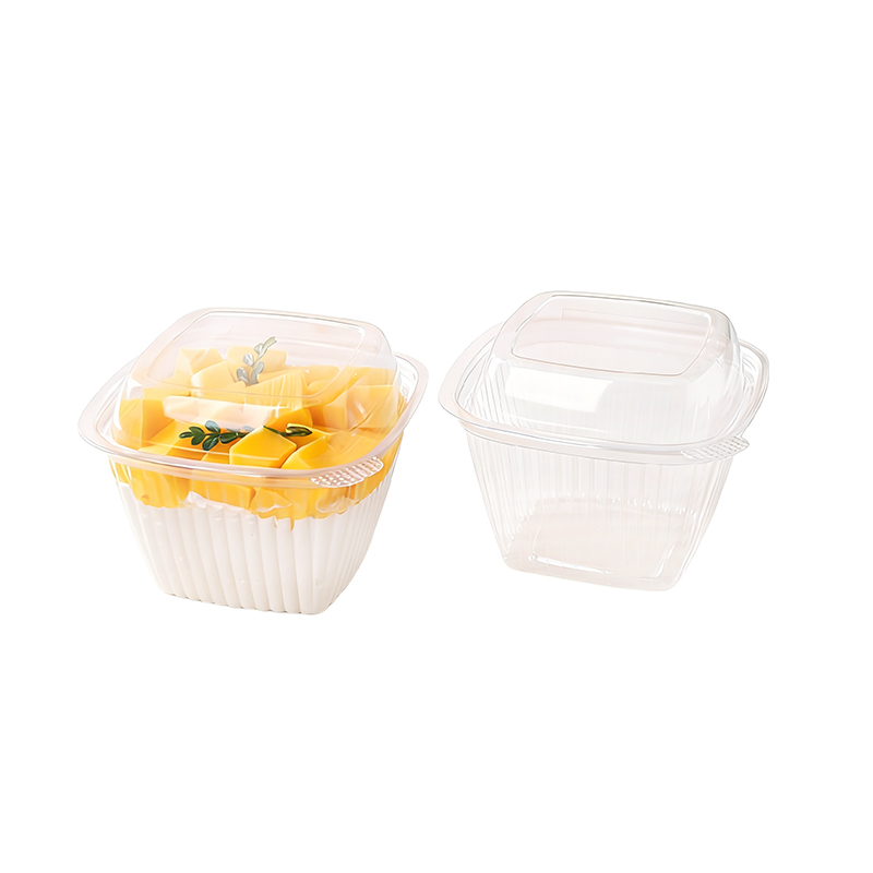 Single Cupcake Container with Square Dome