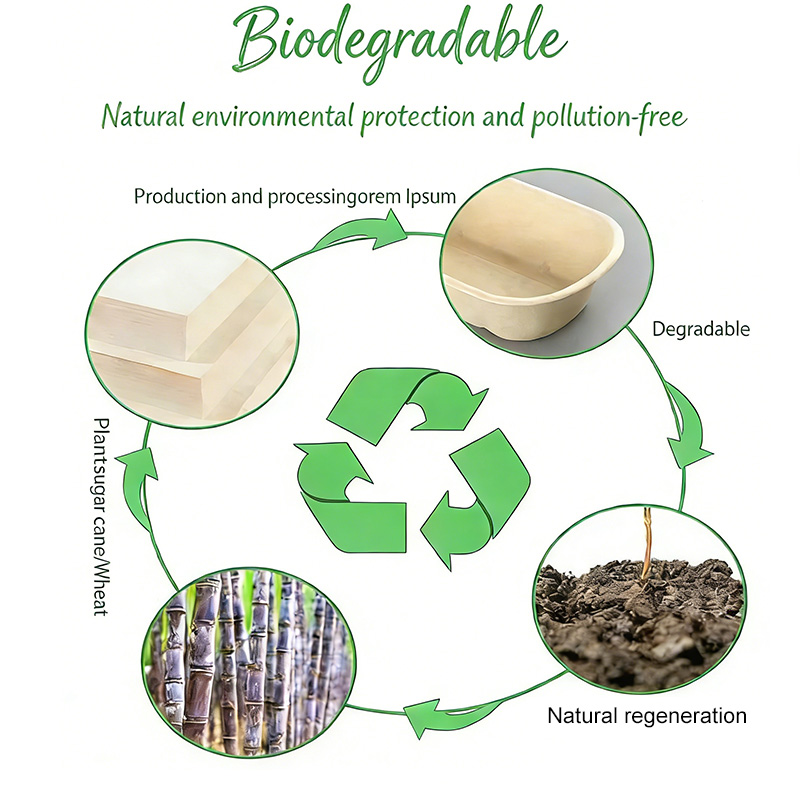 Polylactic Acid Supplier