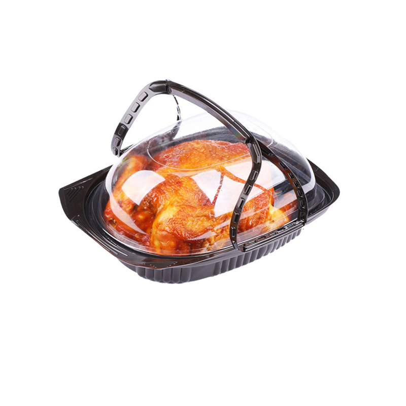 Portable Plastic Packaging for Roast Turkey