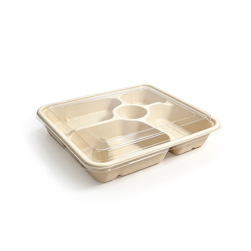Compostable Bagasse Food Tray