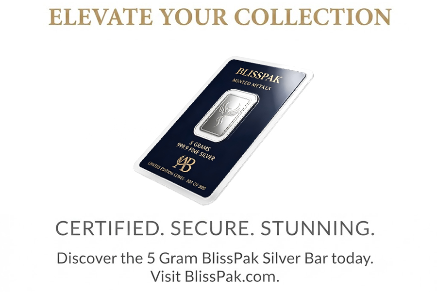 5 Gram Silver Bar Blister Card