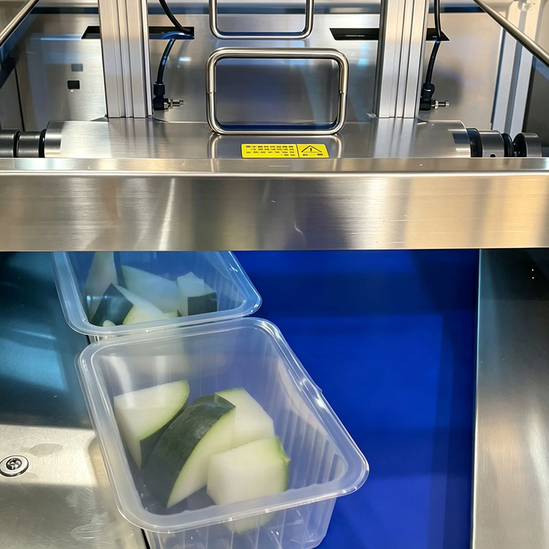 Automatic Modified Atmosphere Packaging Inline Machine