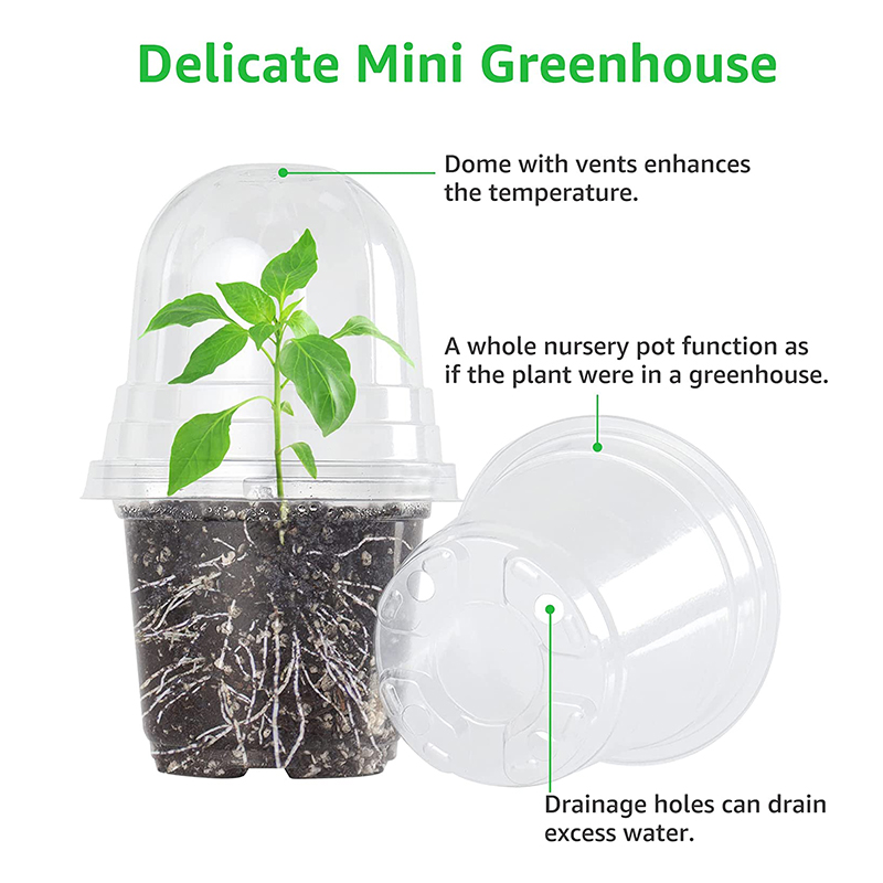 Wholesale Transparent Plastic Seedling Planter