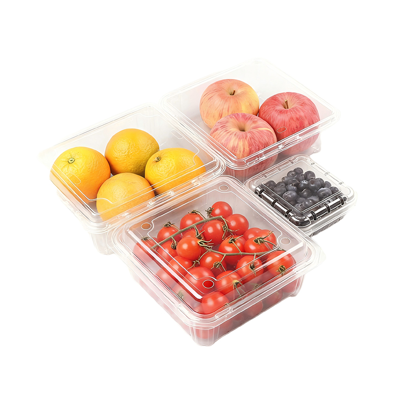 Factory Plastic Fruit Tray