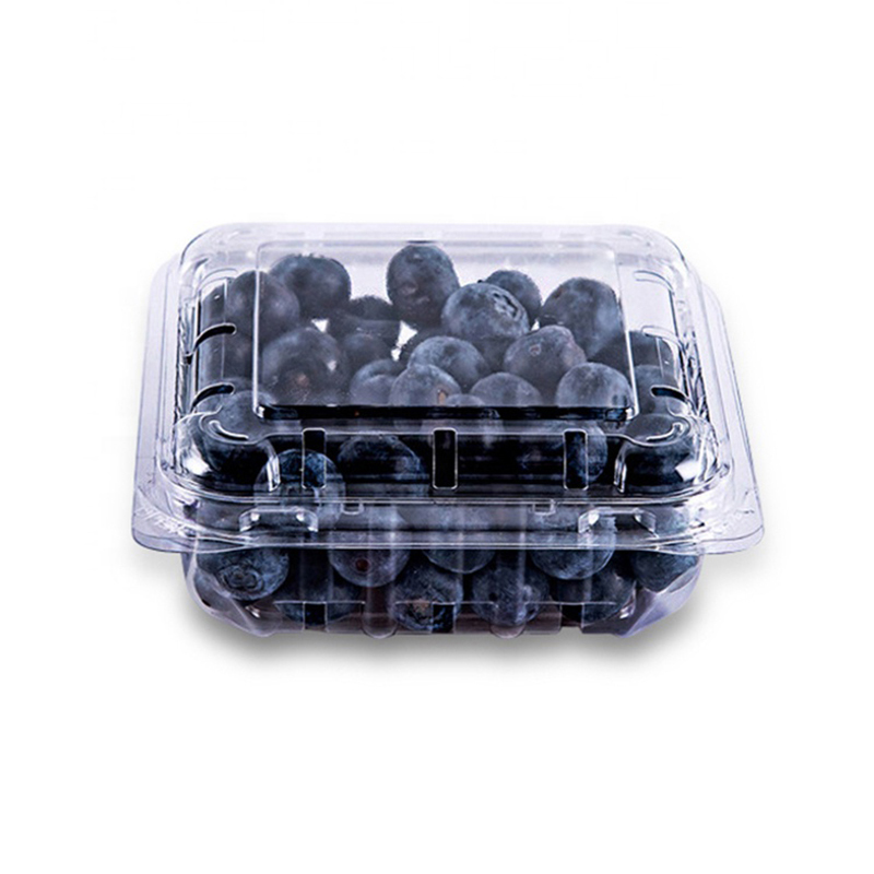 Blueberry Plastic Clamshell Packing Box