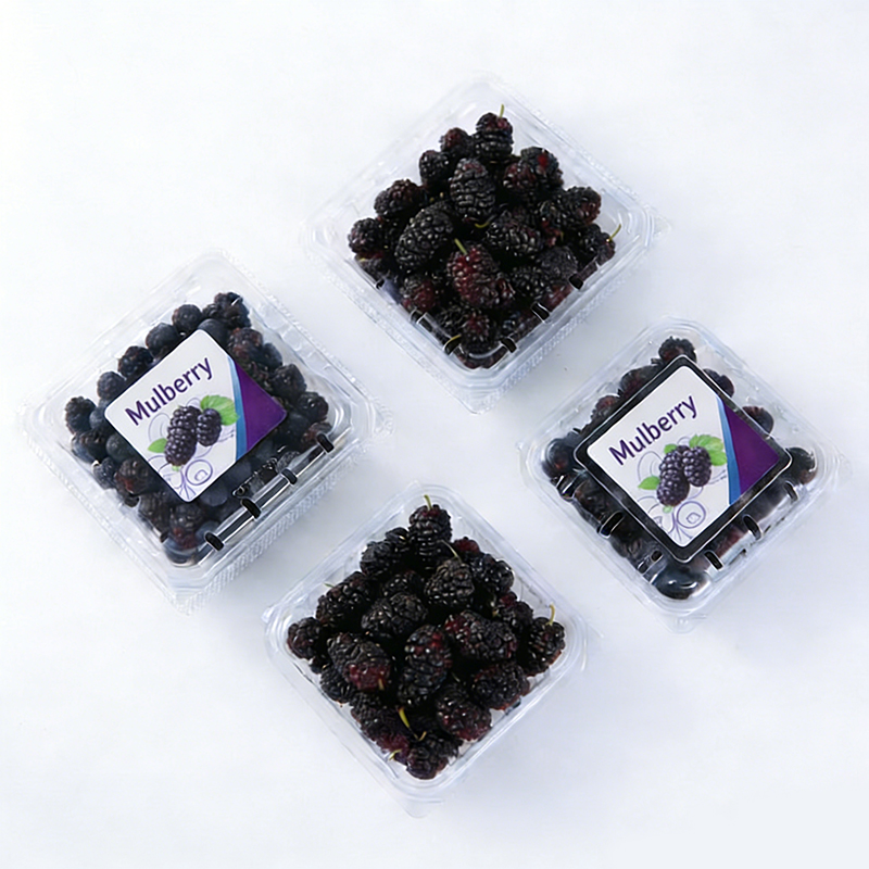 Wholesale Mulberry Plastic Packaging Clamshell