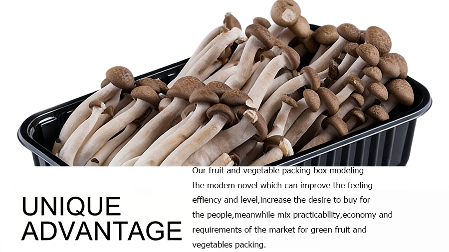 Mushroom Blister Packaging Tray