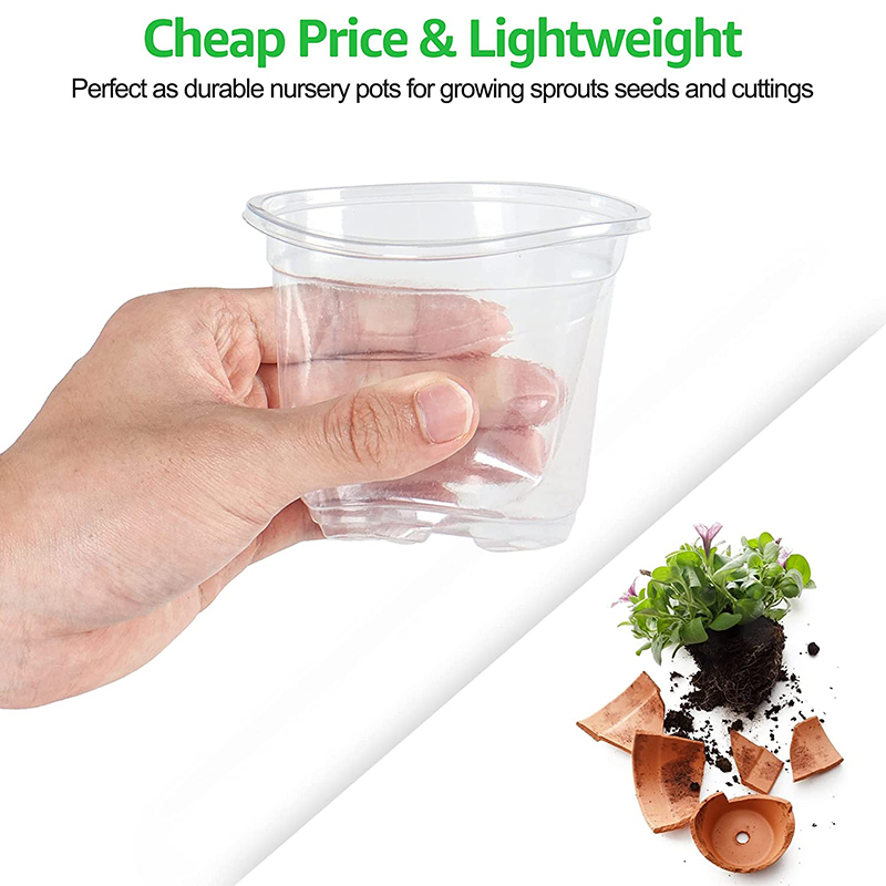 Wholesale Transparent Plastic Seedling Planter