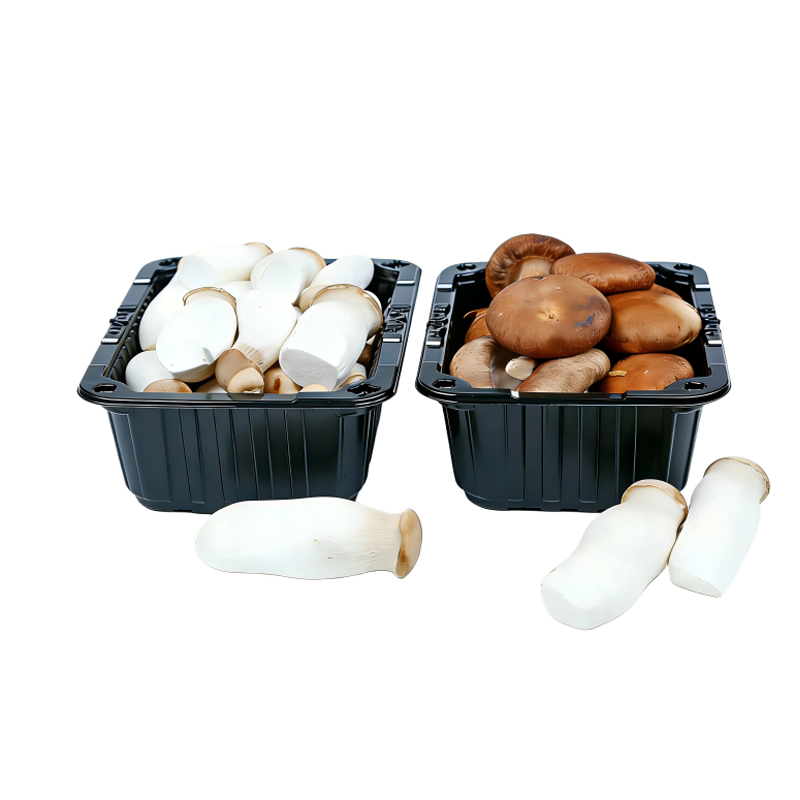 Mushroom Blister Packaging Tray