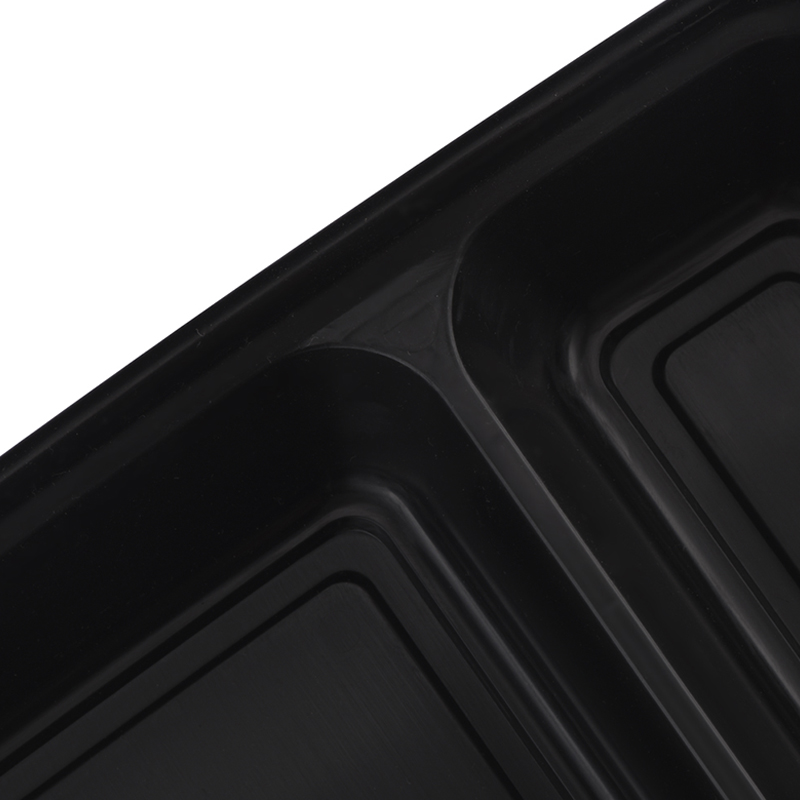 Factory Supplier Plastic Fast Food Container