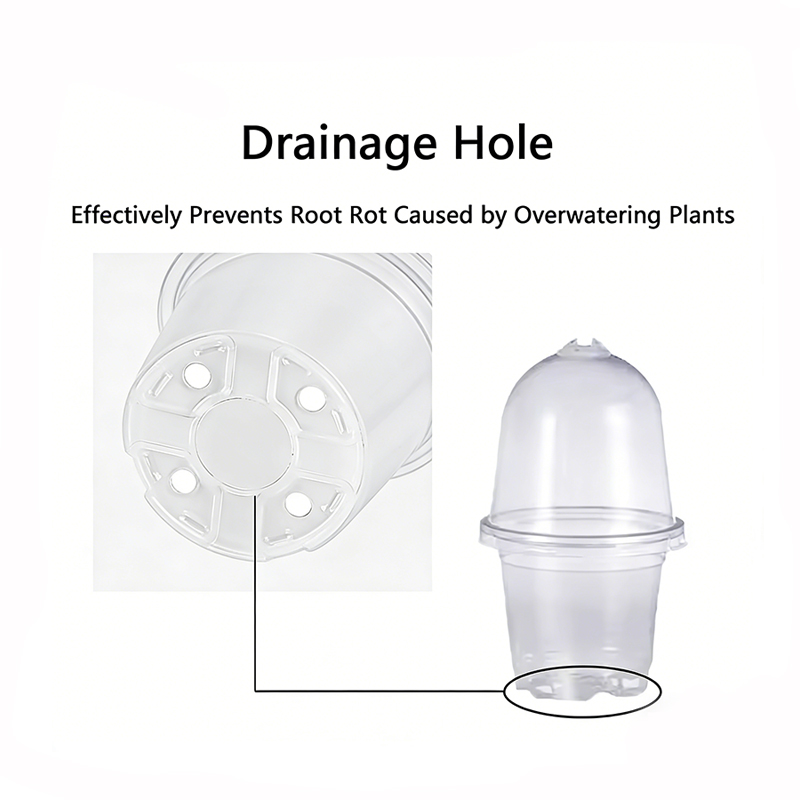 Nursery Pots with Humidity Domes