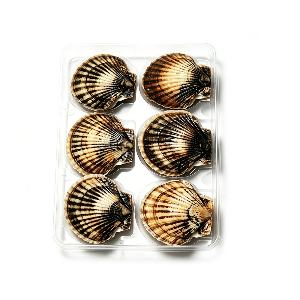 Wholesale Seafood Scallop Clear Tray