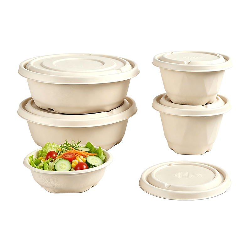Wholesale Bagasse Salad Bowl